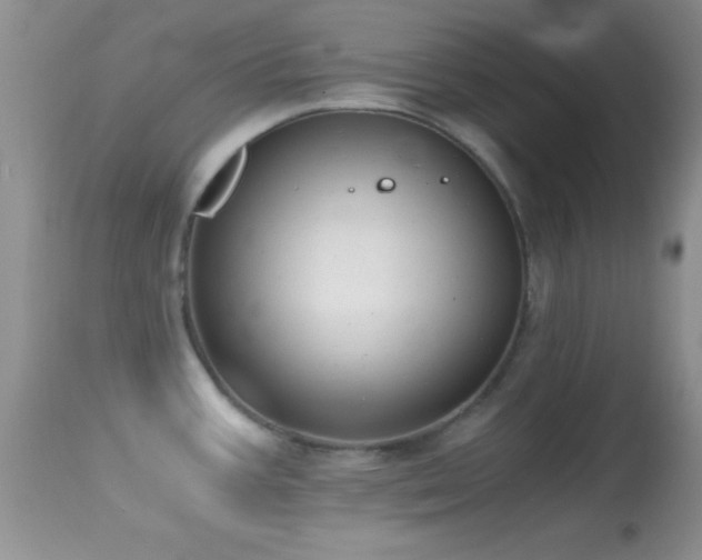 X0000114641387200910201433