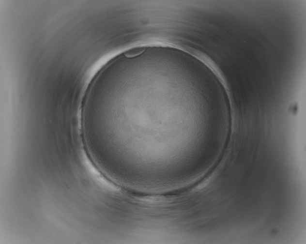 X0000114641388200910201433