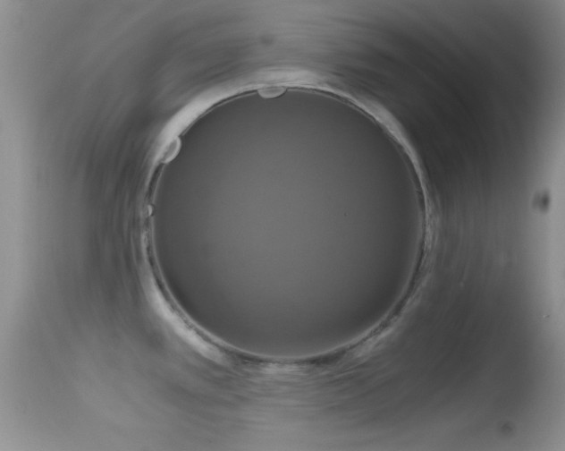 X0000114641389200910201433