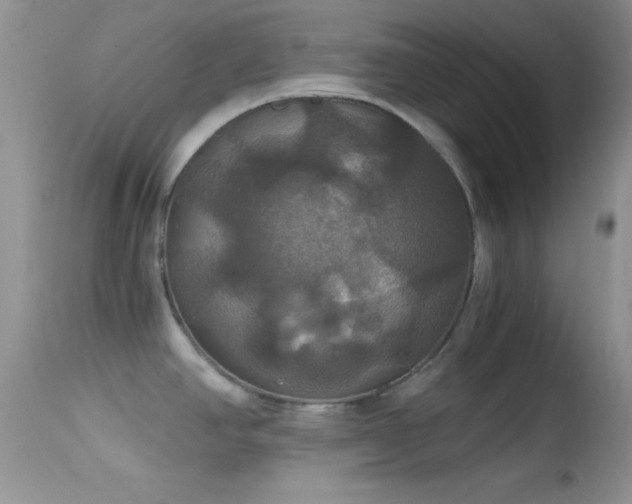 X0000114641390200910201433