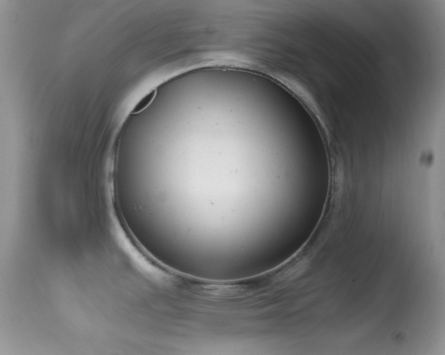 X0000114641391200910201433