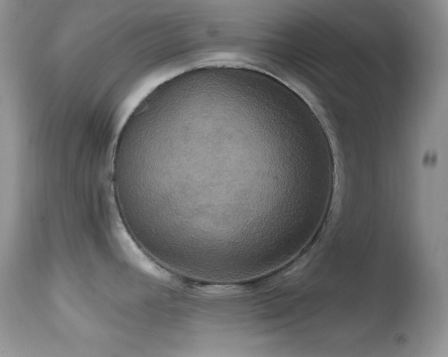 X0000114641392200910201433
