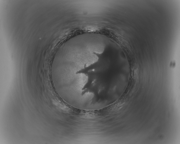 X0000114641393200910201432