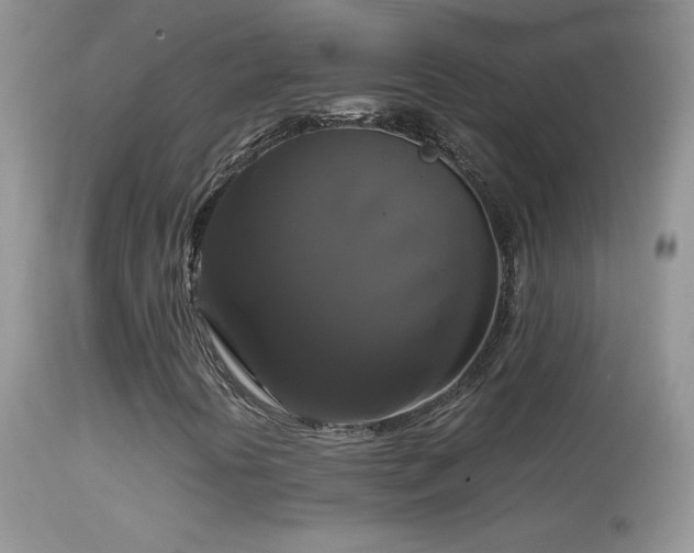 X0000114641394200910201432
