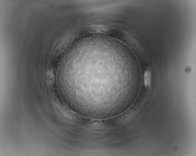 X0000114641395200910201432