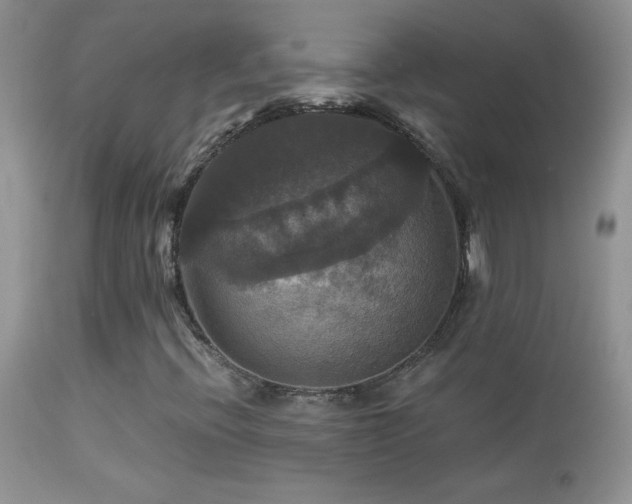 X0000114641396200910201432