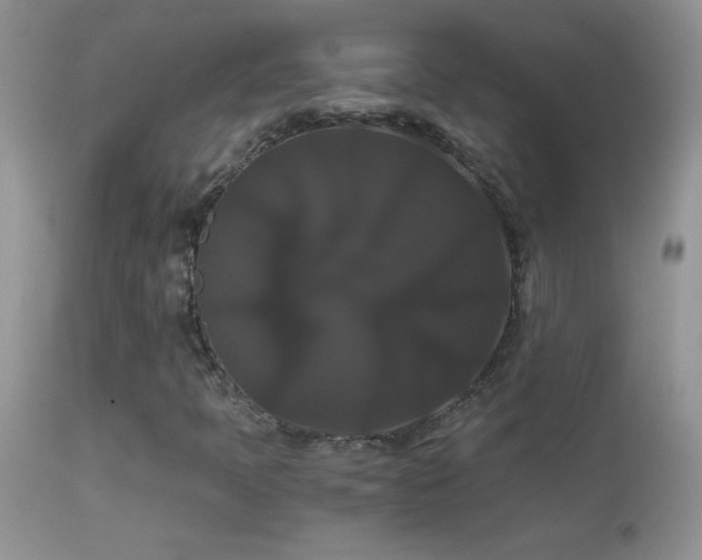 X0000114641397200910201432