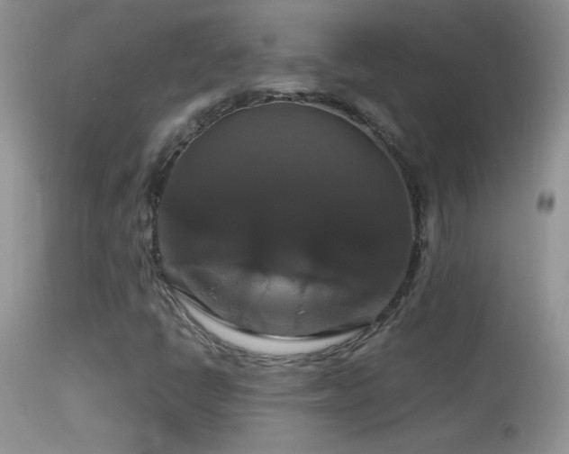 X0000114641398200910201432