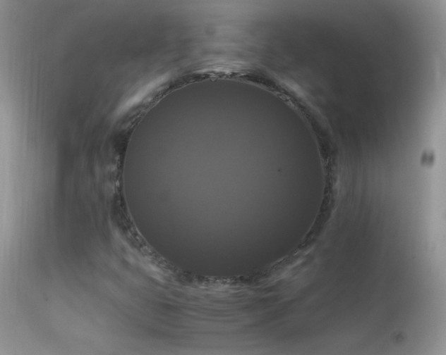 X0000114641399200910201432