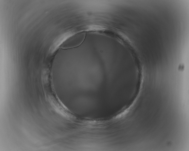 X0000114641401200910201432