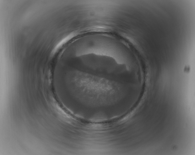 X0000114641402200910201432