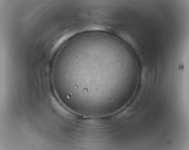 X0000114641404200910201432