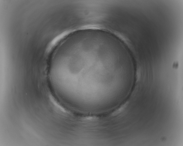 X0000114641406200910201432