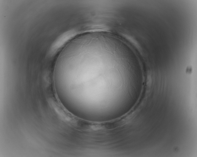 X0000114641407200910201432