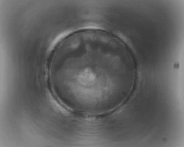 X0000114641408200910201432