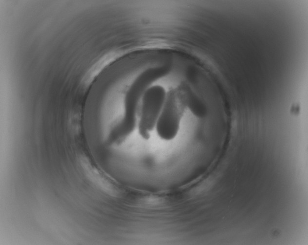 X0000114641409200910201432