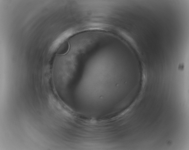 X0000114641411200910201432
