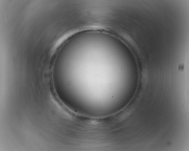 X0000114641412200910201432
