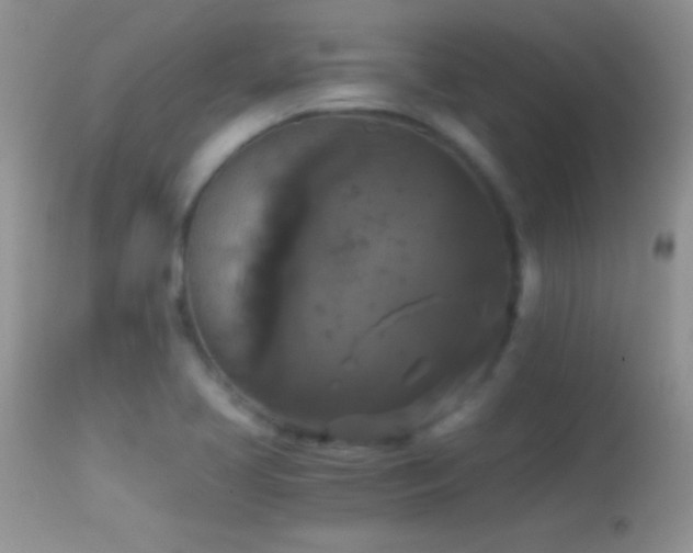 X0000114641413200910201432