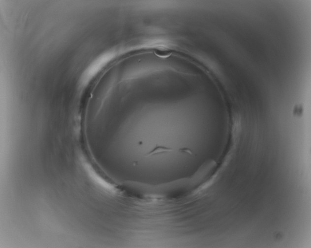 X0000114641414200910201432