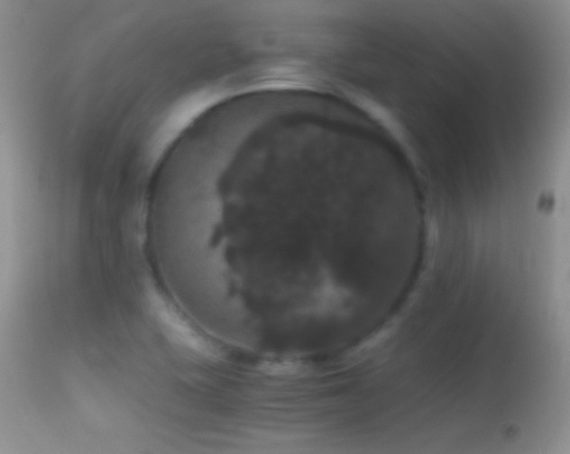 X0000114641415200910201432