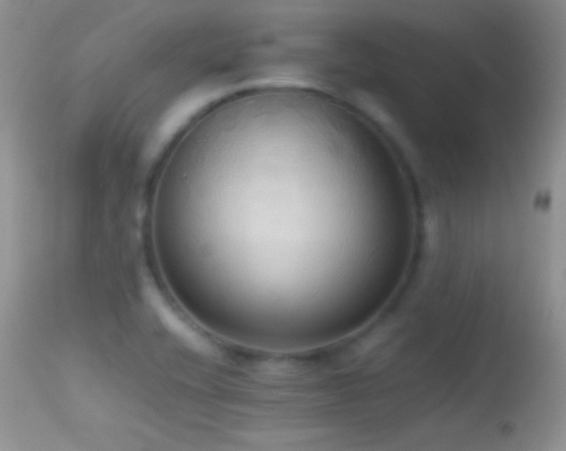 X0000114641416200910201432