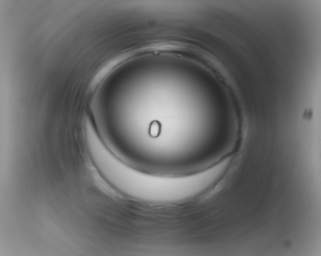 X0000114641417200910201432