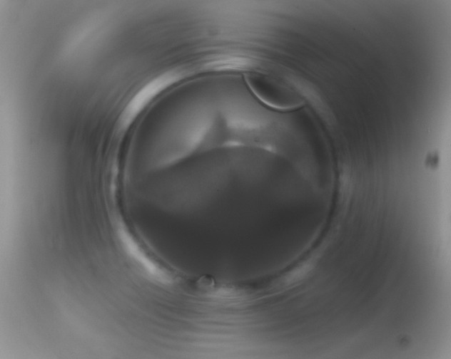 X0000114641418200910201432