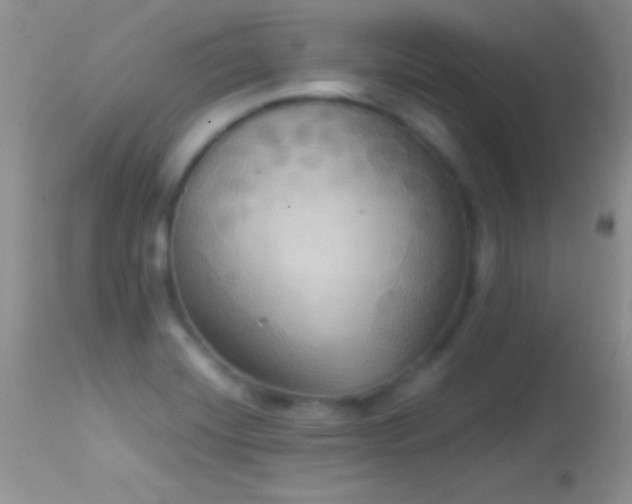 X0000114641420200910201432