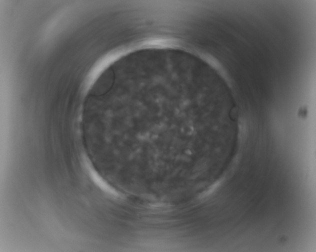 X0000114641421200910201432
