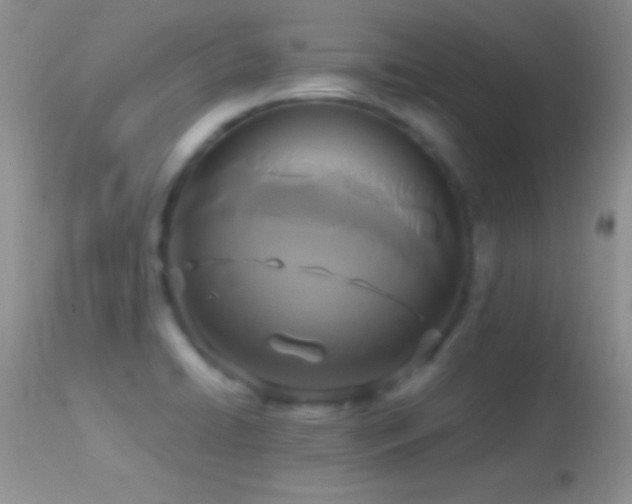 X0000114641422200910201432