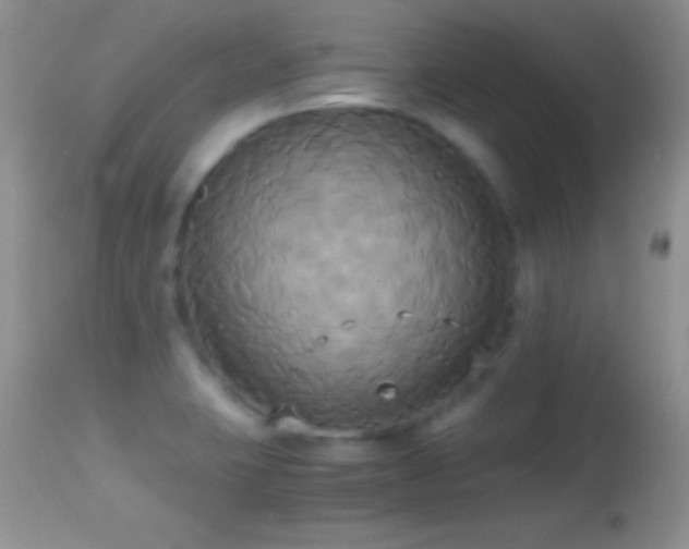 X0000114641423200910201432