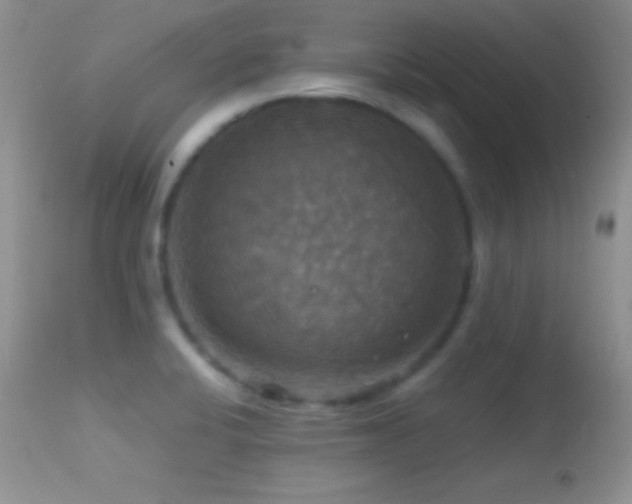 X0000114641424200910201432