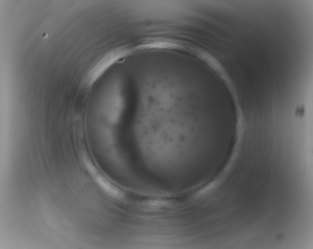 X0000114641425200910201432