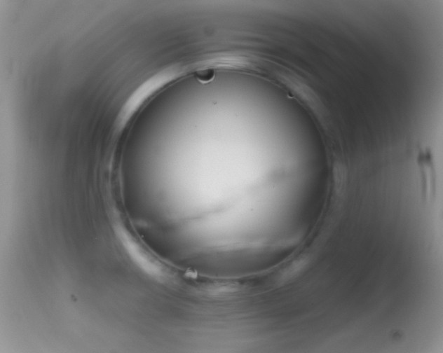 X0000114641426200910201432