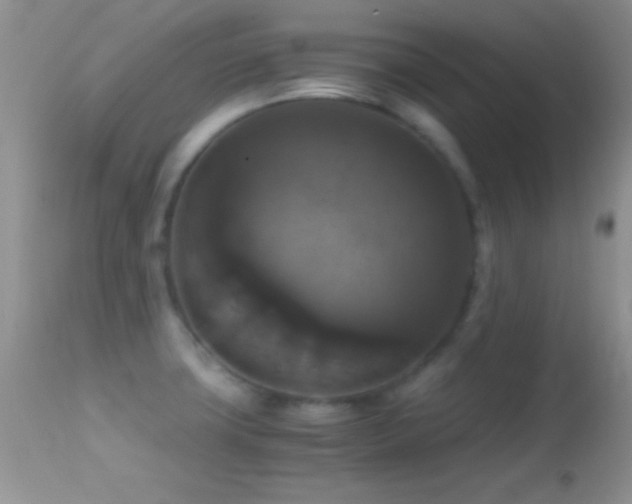 X0000114641427200910201432