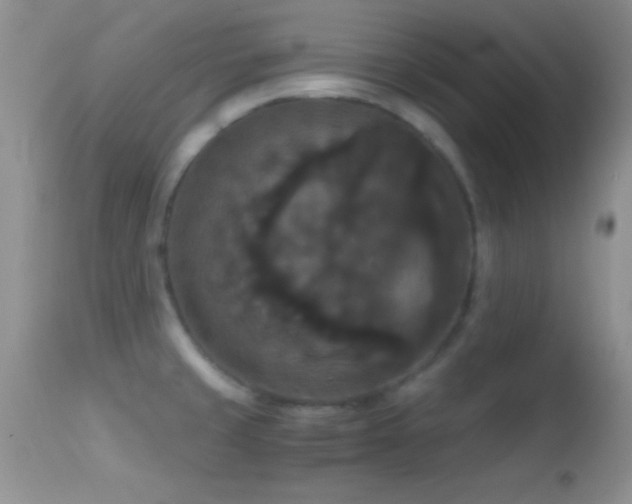 X0000114641429200910201432