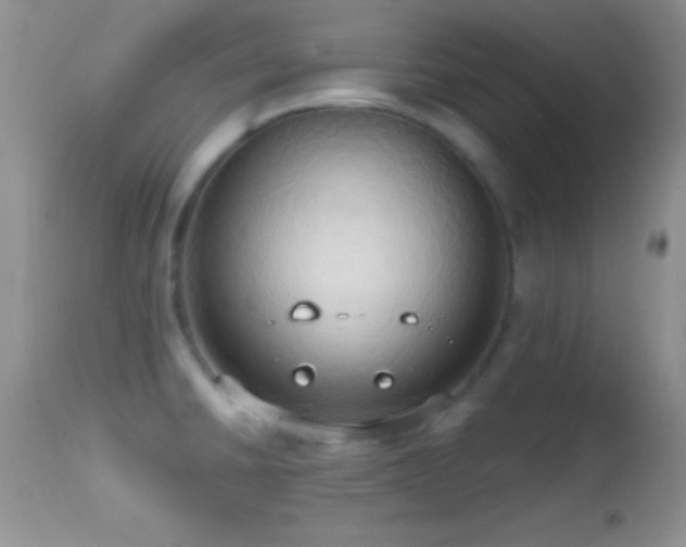 X0000114641430200910201432