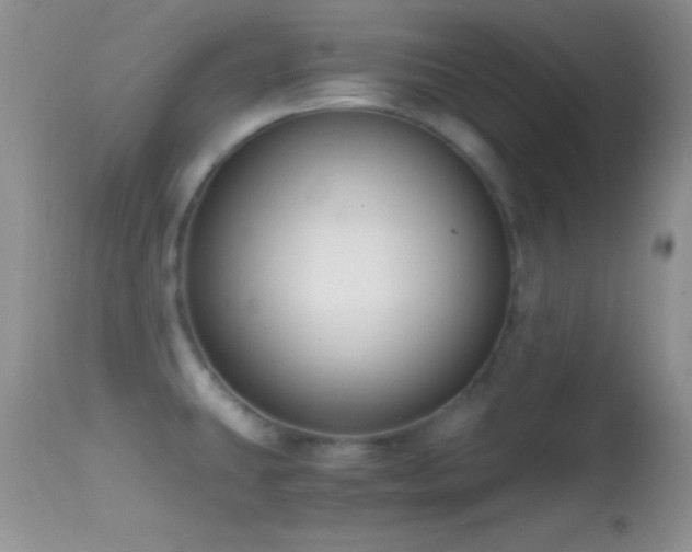 X0000114641431200910201432