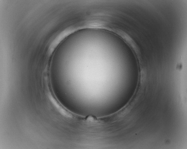 X0000114641432200910201432