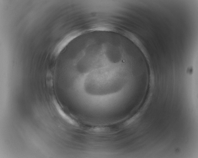 X0000114641433200910201432