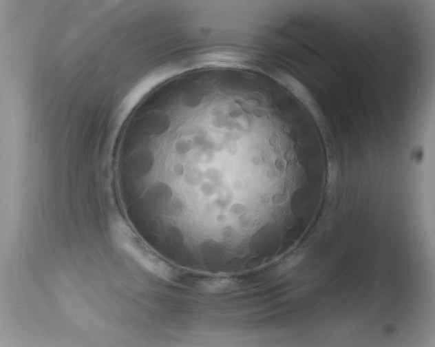 X0000114641435200910201432