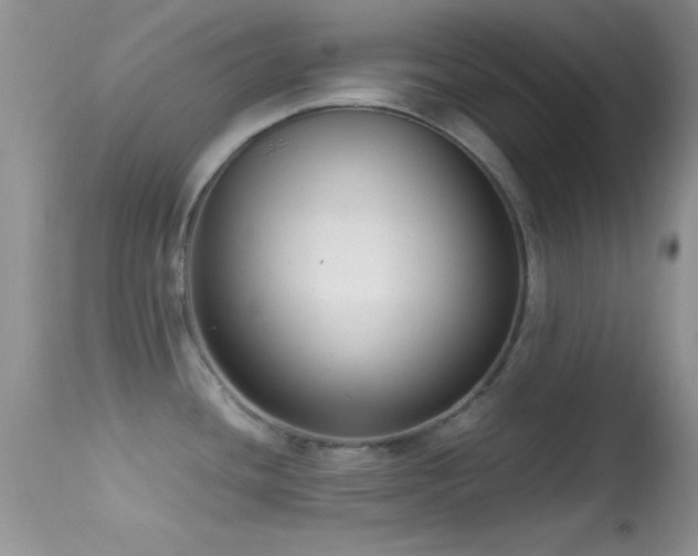 X0000114641436200910201433