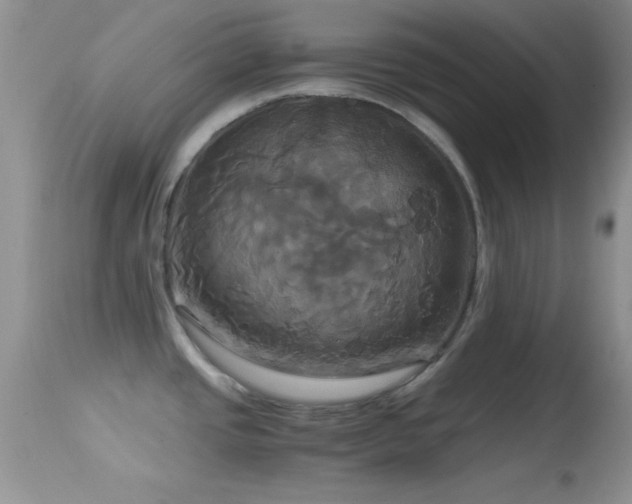 X0000114641437200910201433
