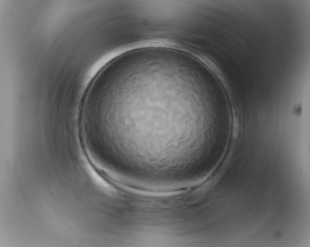 X0000114641438200910201433