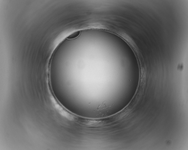 X0000114641439200910201433