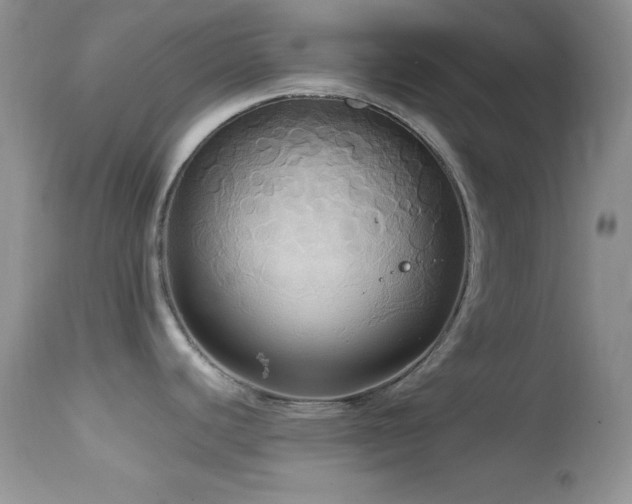 X0000114641440200910201433