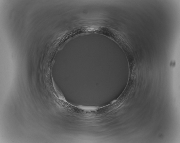 X0000114641441200910201432