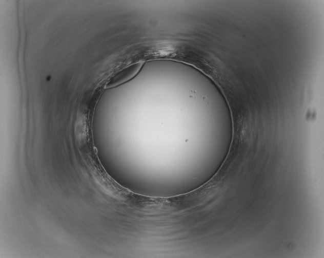 X0000114641442200910201432