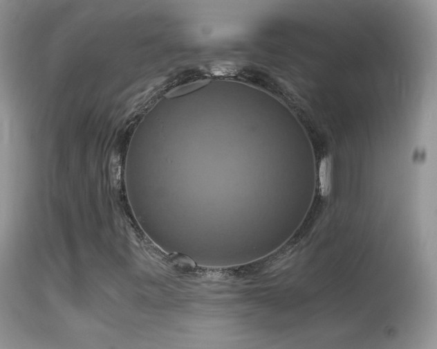 X0000114641443200910201432